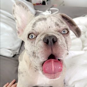 Meet your Posher, Katelund